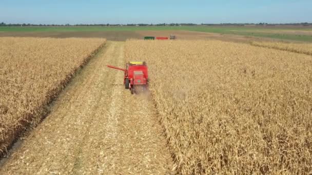 Dolly View Combine Harvester Machine Harvest Ripe Maizeabove Dolly Move — 图库视频影像