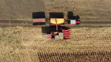 Tarımsal hasatçıdan gelen transmisyonun en üst görüntüsünde, karavana birleşin, hasat edilen mısırları boşaltın..