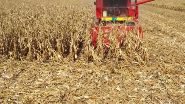 View Combine Harvester Machine Harvest Ripe Maize View Agricultural Harvester — Stock video