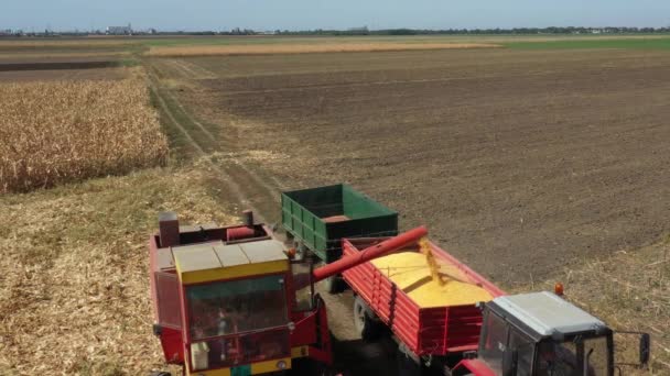 View Combine Transferring Freshly Harvested Cereal Trailer Transport View Transshipment — Video Stock