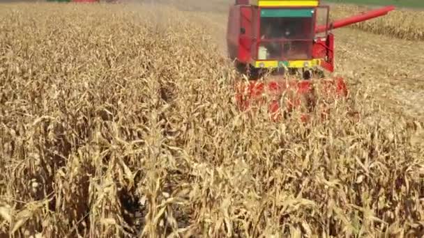 Dolly View Combine Harvester Machine Harvest Ripe Maize Dolly Move — Stockvideo