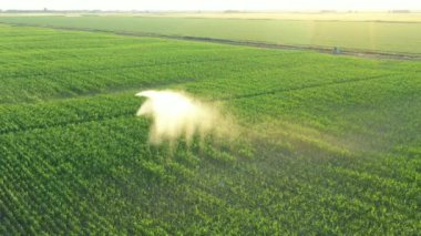 Aerial view, dolly move, of irrigation system, water jet rain guns sprinklers, on field with corn, helping grow, vegetation in dry season, increases crop yields.