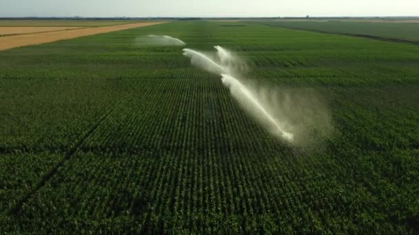 Aerial View Dolly Move Irrigation System Water Jet Rain Guns — Vídeo de Stock