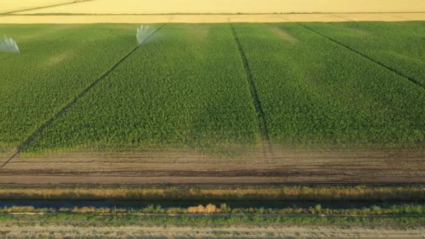 Luftbild Dolly Verschieben Schieberegler Zur Seite Bewässerungssystem Wasserstrahl Regenkanonen Sprinkler — Stockvideo