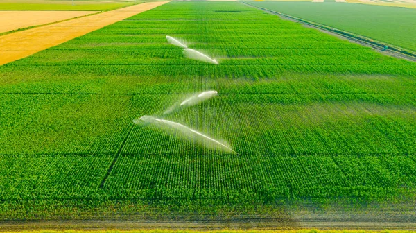 Aerial View Irrigation System Water Jet Rain Guns Sprinklers Field — Stok Foto