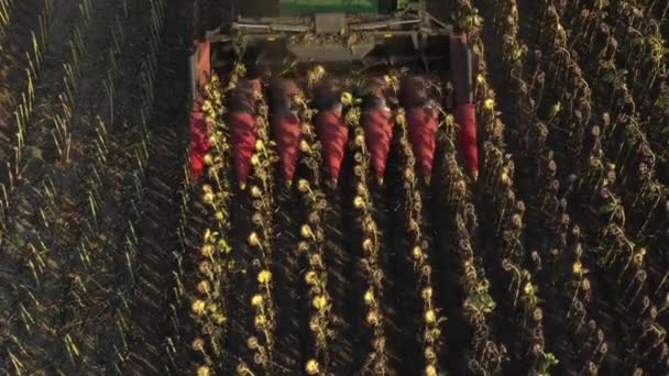 Aerial Top View Dolly Move Backwards Upwards Agricultural Harvester Header — Vídeos de Stock