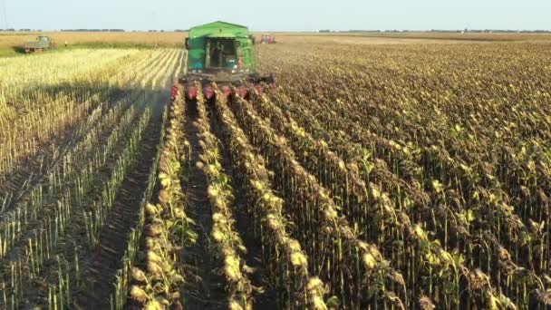 Aerial Dolly Move Backwards View Agricultural Harvester Cutting Harvesting Mature — Vídeo de Stock