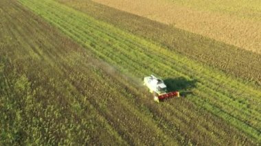 Tarımsal hasatçıların üstünde tarım tarlalarında olgun ayçiçekleri kesip biçmek var..