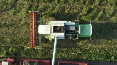 Aerial top dolly move view of transshipment from agricultural harvester, combine to the trailer, unloading harvested sunflower.