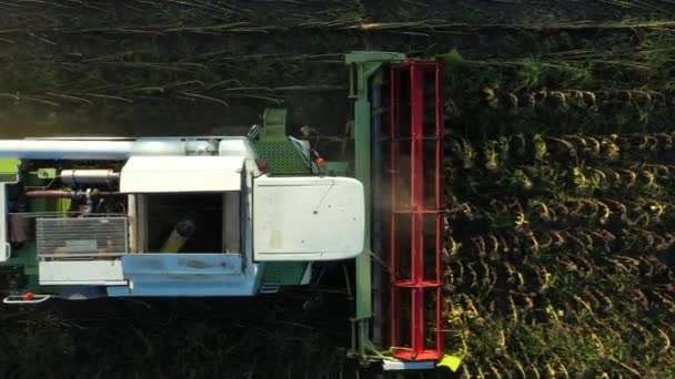 Aerial Top View Dolly Move Agricultural Harvester Cutting Harvesting Mature — ストック動画