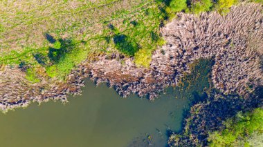Above top view is on the landscape over calm lake, tree canopies and dry vegetation.