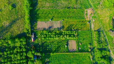 Above top view, overhead, on green forest and several cultivated plots with cottages.
