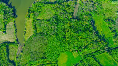 Above top view, overhead, on the end of the lake surrounded by green forest and several cultivated plots with cottages.