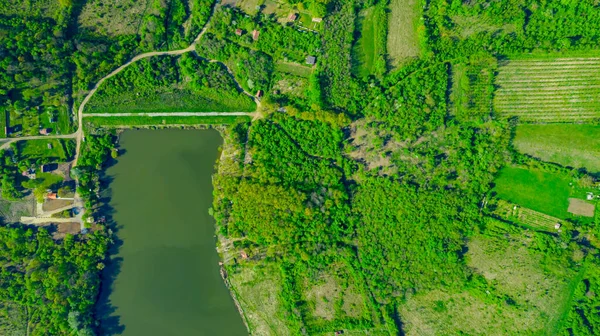 Top View Overhead End Lake Surrounded Green Forest Several Cultivated — Stok fotoğraf