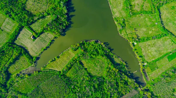 Top View Overhead End Lake Surrounded Green Forest Several Cultivated — Stok fotoğraf