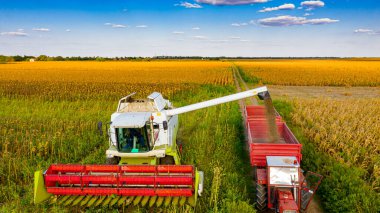 Above view of transshipment from agricultural harvester, combine to the trailer, unloading harvested sunflower.