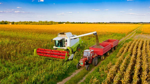View Transshipment Agricultural Harvester Combine Trailer Unloading Harvested Sunflower —  Fotos de Stock