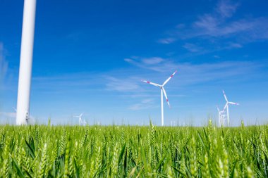 Tarımsal alanlar arasında duran az sayıdaki büyük rüzgar enerjisi türbinlerinin önündeki genç yeşil buğday temiz, yeşil yenilenebilir elektrik enerjisi üretiyor..