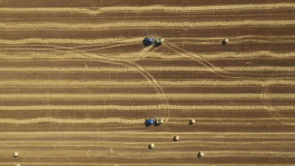 在两个拖拉机拉着圆圈的上方 机器卷起稻草 在农田上空吐出一个挤满了人的圆圈 — 图库视频影像