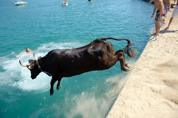 Traditional bull party in Javea, Spain — Stock Photo, Image