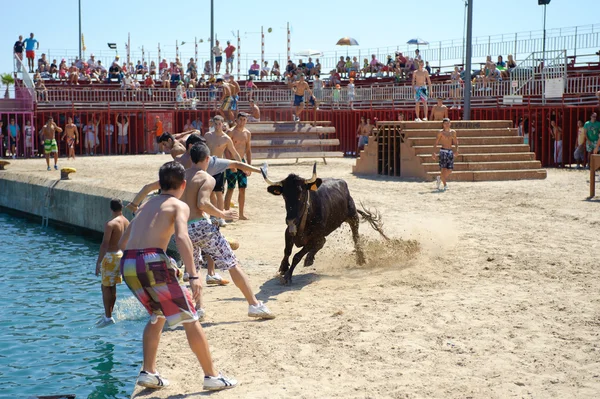 Traditional bull party in Javea, Spain — Stock Photo, Image