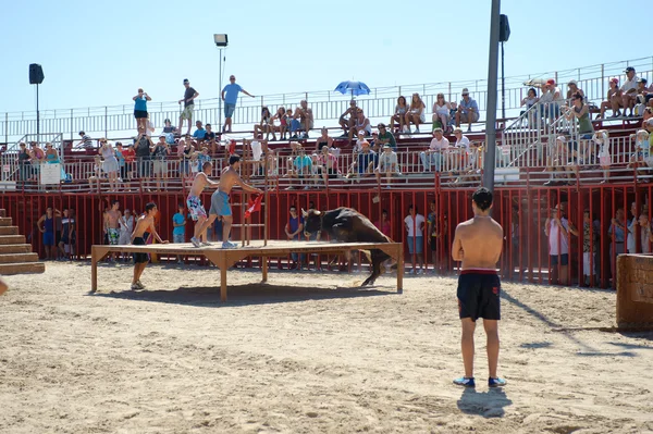 Traditional bull party in Javea, Spain — Stock Photo, Image