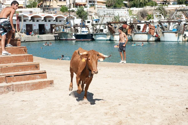Traditionelles Stierfest in Javea, Spanien — Stockfoto