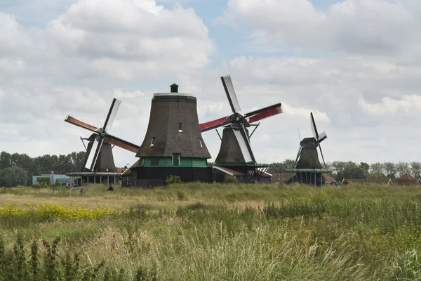 Wiatraki zaanse schans — Zdjęcie stockowe