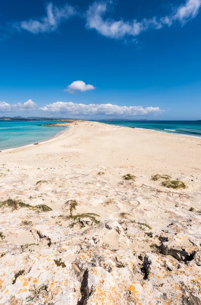 Plaży Illetes w formentera island, Morze Śródziemne, Hiszpania — Zdjęcie stockowe