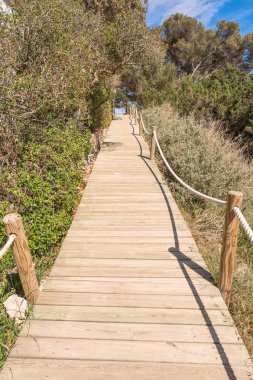 formentera Balear Adaları'saona beach plaj yolu