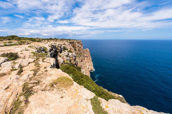 Formentera coastline — Stockfoto