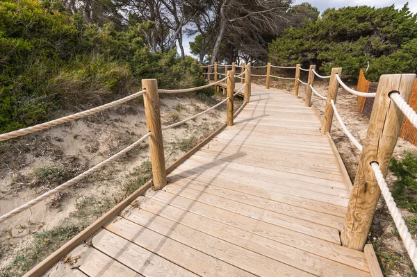 Caminho de praia para a praia de Salinas em Formentera Ilhas Baleares — Fotografia de Stock