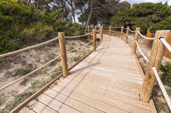 Camino a la playa de Salinas en Formentera Islas Baleares Imágenes De Stock Sin Royalties Gratis