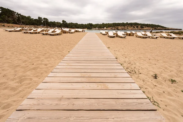 Beach way to Bassa beach in Ibiza Balearic islands — Stock Photo, Image