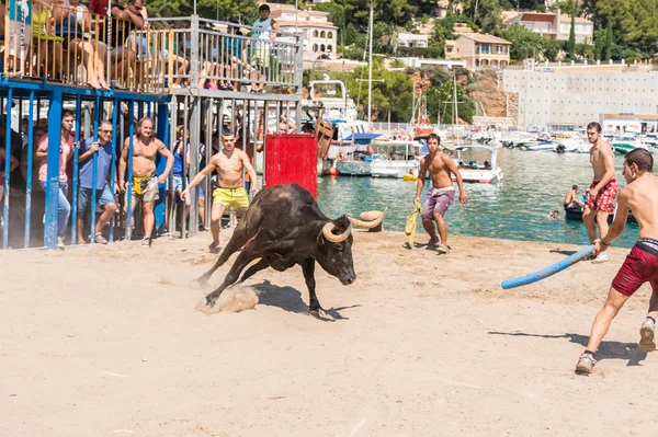 "Bous a la mar "Javea, Espagne 2013 — Photo