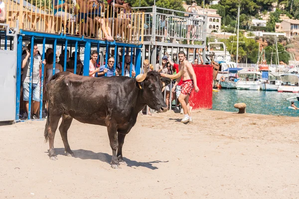 "Bous a la mar" Javea, Spain 2013 — Stock Photo, Image