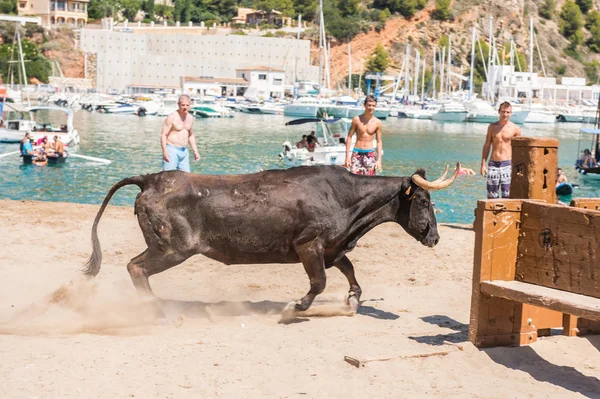 "Bous a la mar" Javea, Spain 2013 — Stock Photo, Image