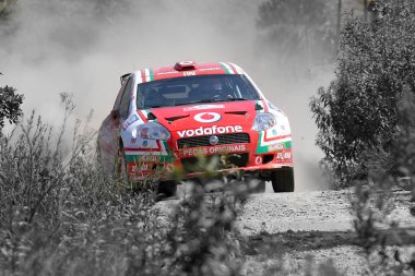 Dünya ralli arabası
