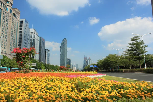 Ουρανοξύστες σε shenzhen, Κίνα — Φωτογραφία Αρχείου