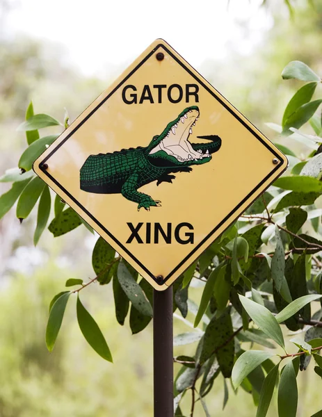 Sign gator — Stock Photo, Image