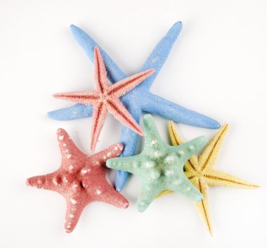 Deniz yıldızı yalıtılmış nesne