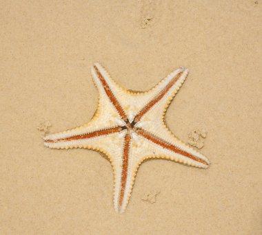 púlpito en una pequeña iglesia