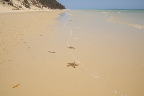 Cena de praia com estrela do mar — Fotografia de Stock
