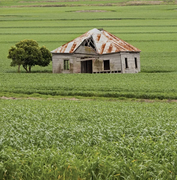 País fazenda — Fotografia de Stock