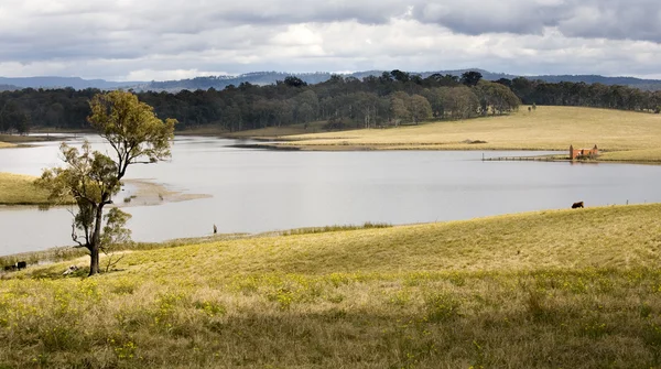 Goulburn