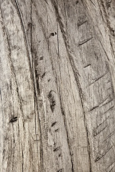 Fondo curva madera — Foto de Stock