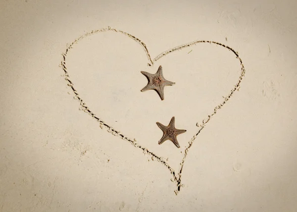 Estrella de mar enamorada —  Fotos de Stock