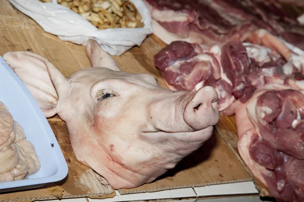 Pig head — Stock Photo, Image