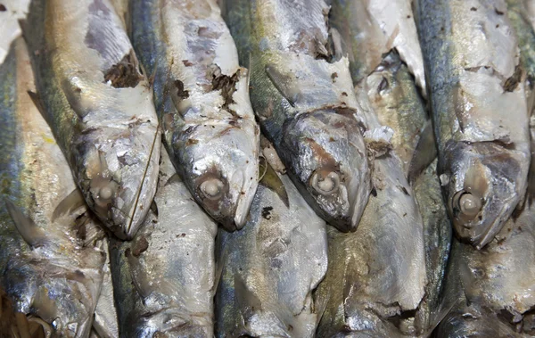 Asiatico mercato alimenti gamberetti gamberetti — Foto Stock