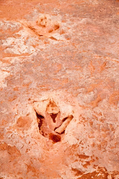 Dinosaur tracks usa — Stock Photo, Image